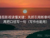 番茄影视读懂关键：先抓引用断章吗，再把口径写一句（写作也能用）