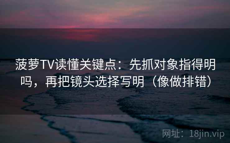 菠萝TV读懂关键点：先抓对象指得明吗，再把镜头选择写明（像做排错）